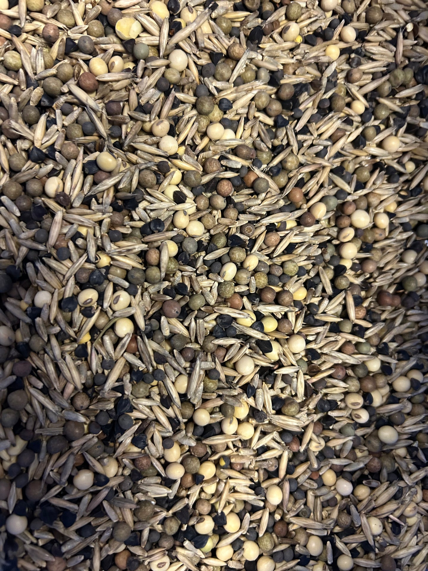 The Deer Diner Feast