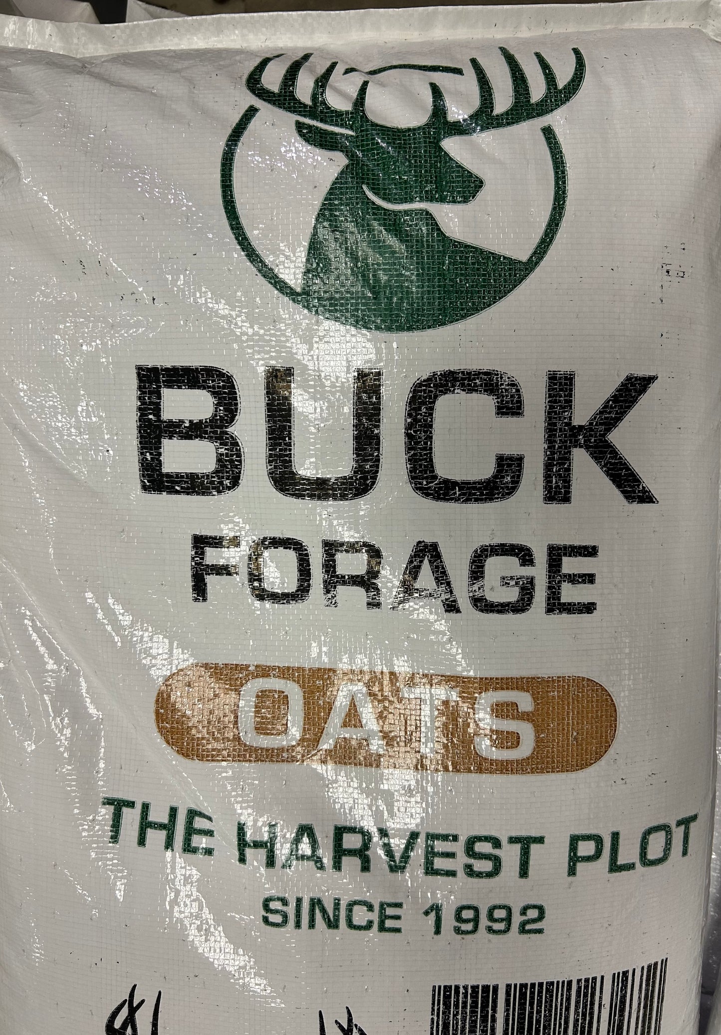 Buck Forage Oats
