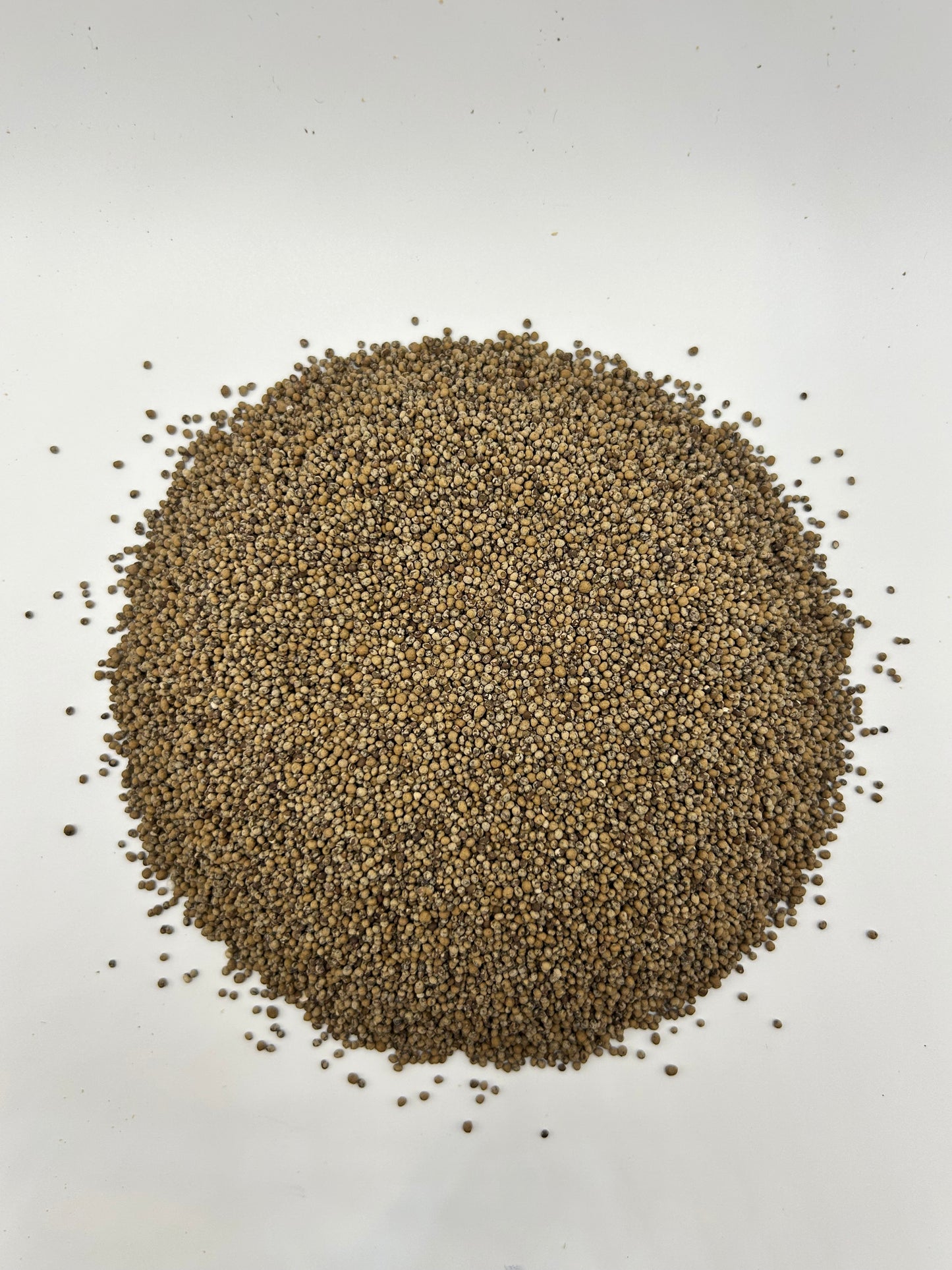 Birdsfoot Trefoil Seed (Coated with OMRI-Listed Apex Green™)