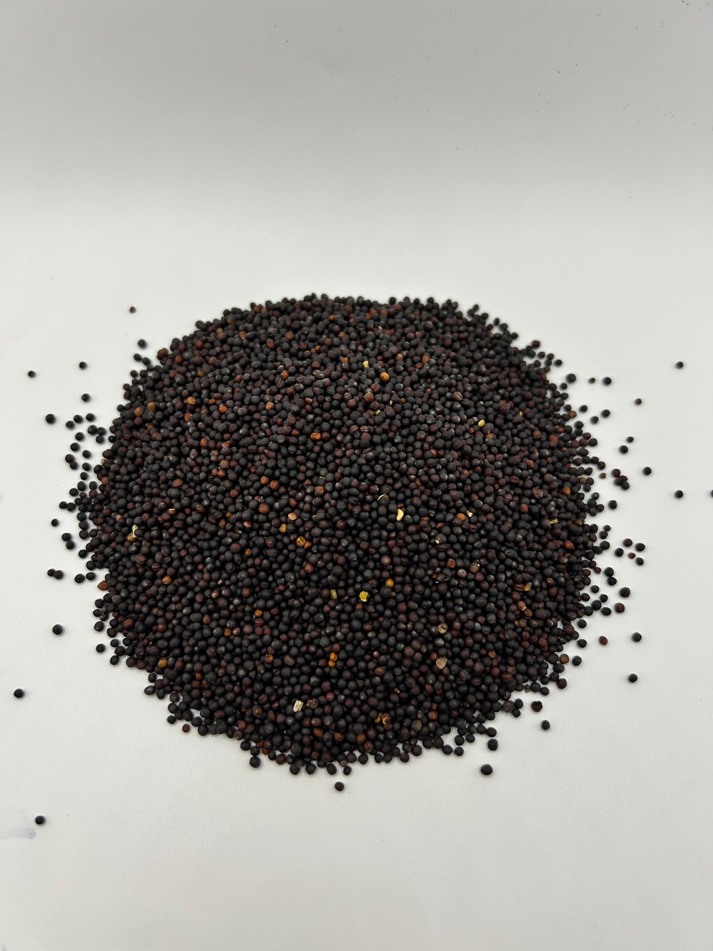 Trophy Winter Rape Seeds