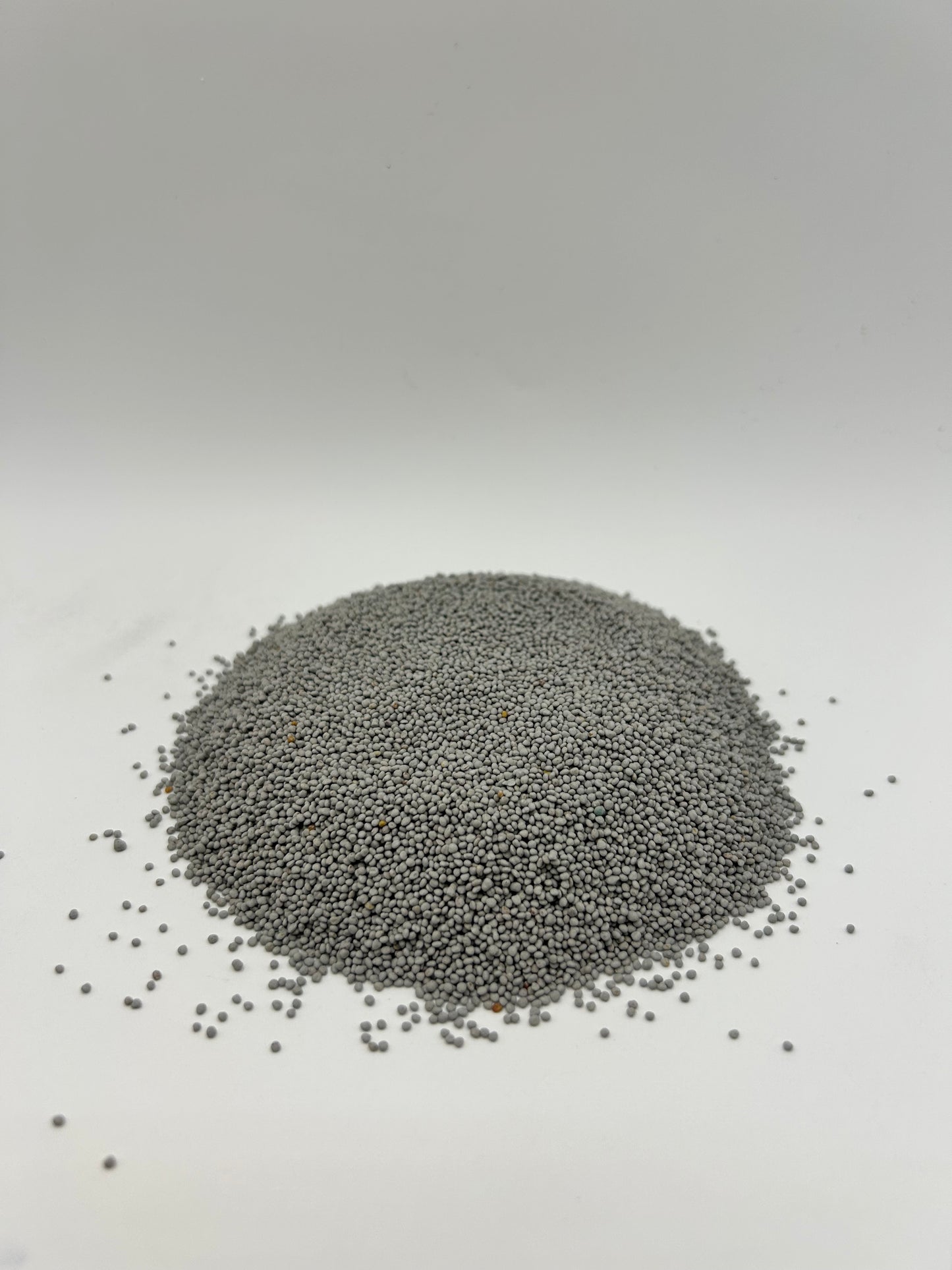 Ladino White Clover Seed (Coated with All-Vantage™ & Pre-Inoculated)