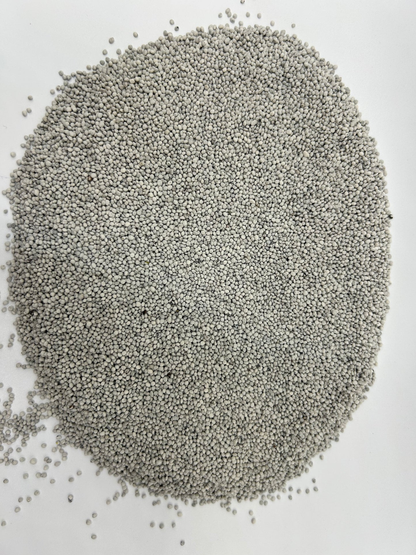 Alsike Clover Seed (Coated with All-Vantage™ & Pre-Inoculated)