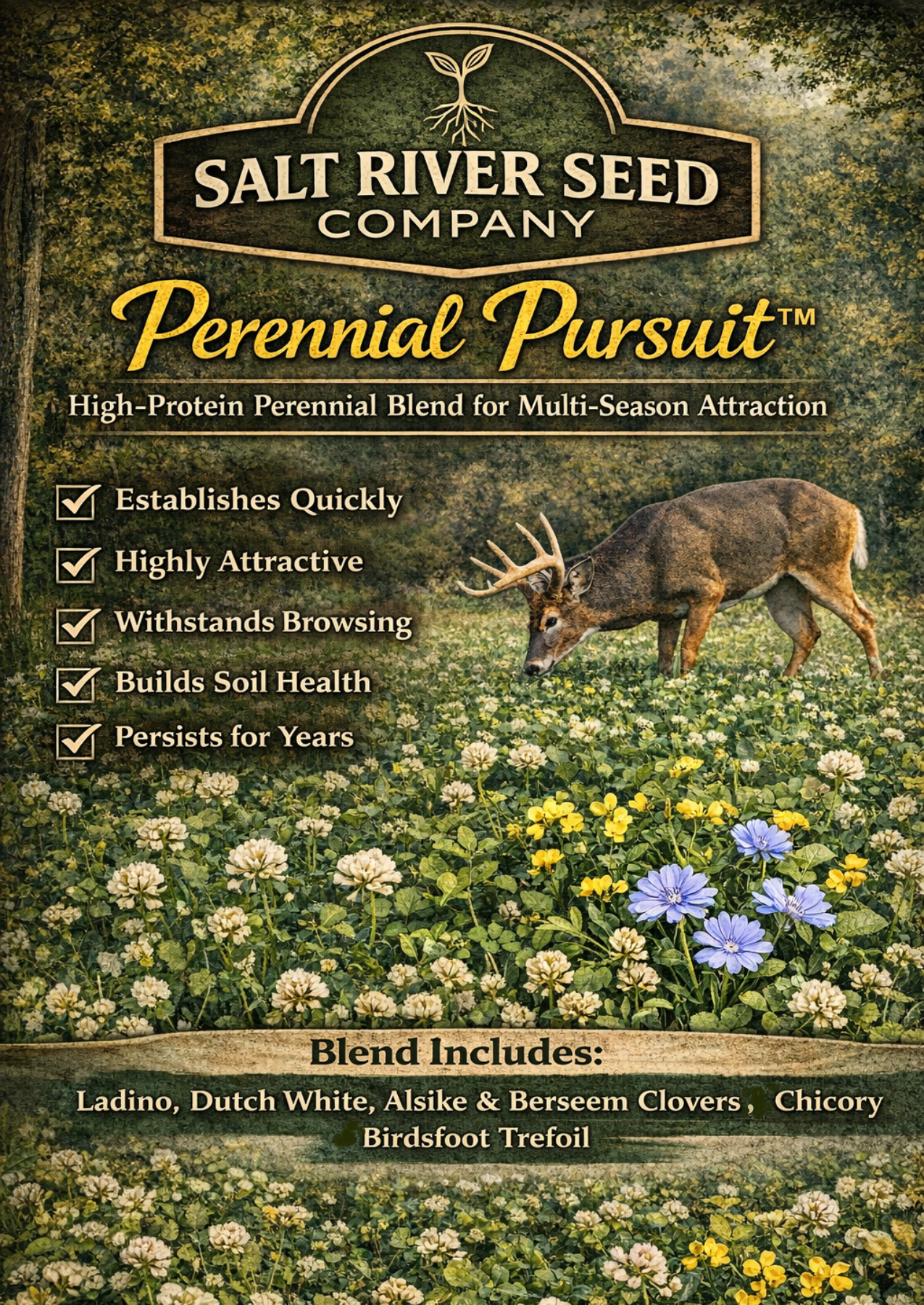 pursuit herbicide clover Perennial Pursuit Clover Seed Blend - Premium White Clover Mix