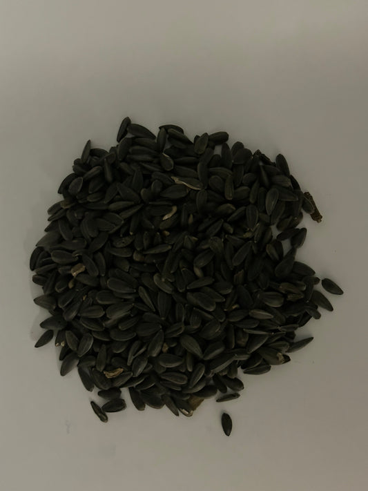 Peredovik Sunflower