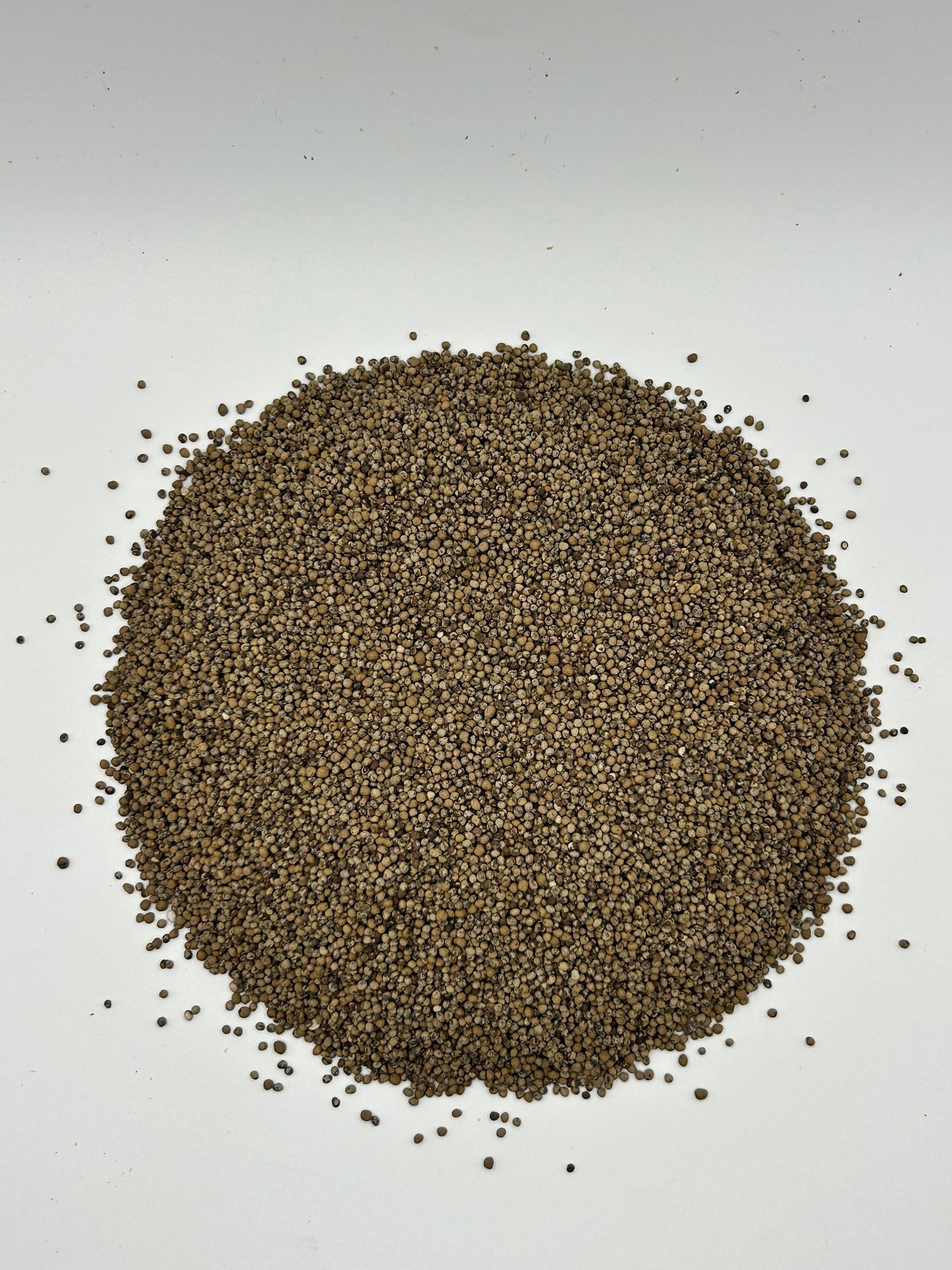 Birdsfoot Trefoil Seed (Coated with OMRI-Listed Apex Green™)