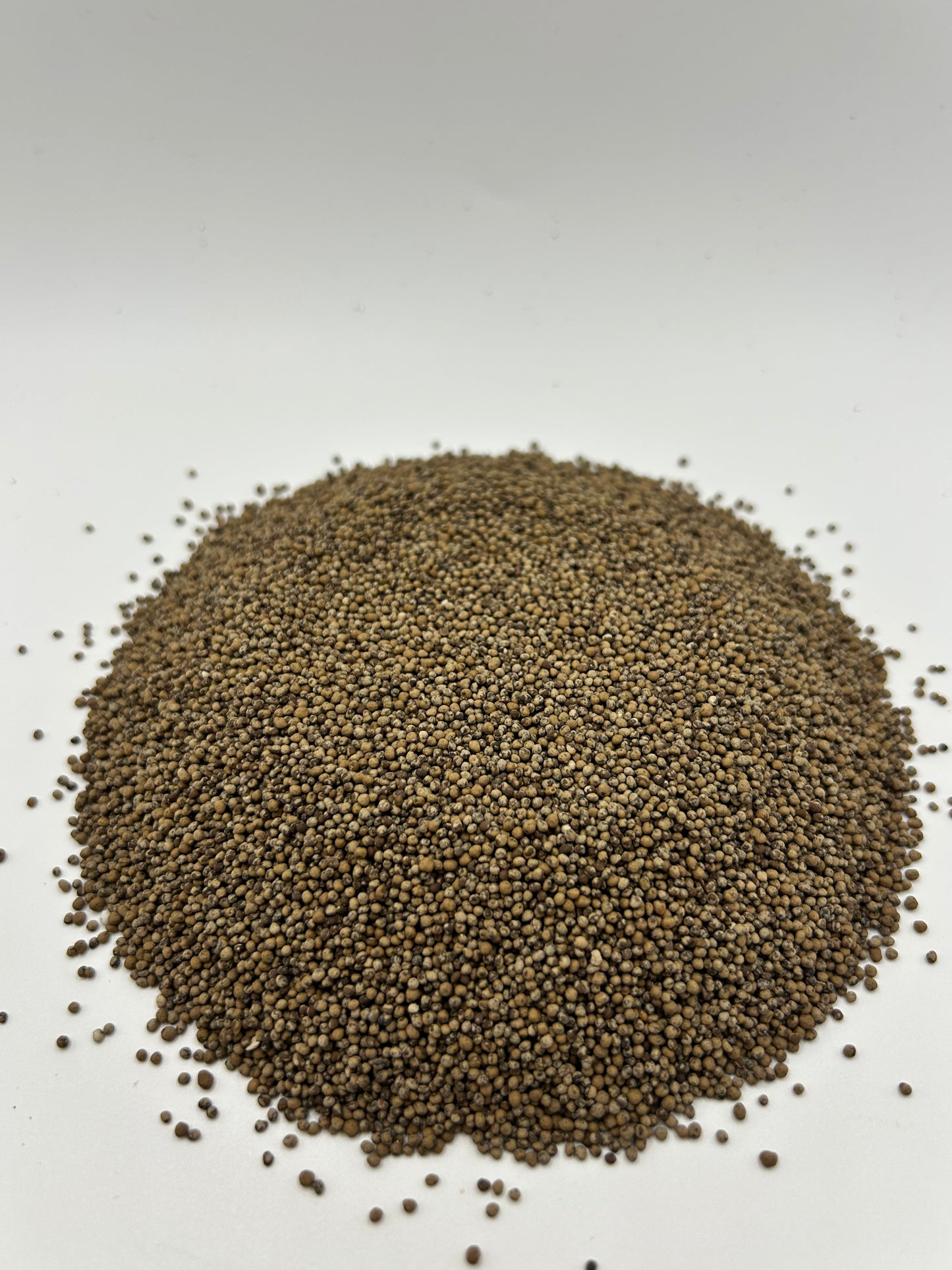 Birdsfoot Trefoil Seed (Coated with OMRI-Listed Apex Green™)