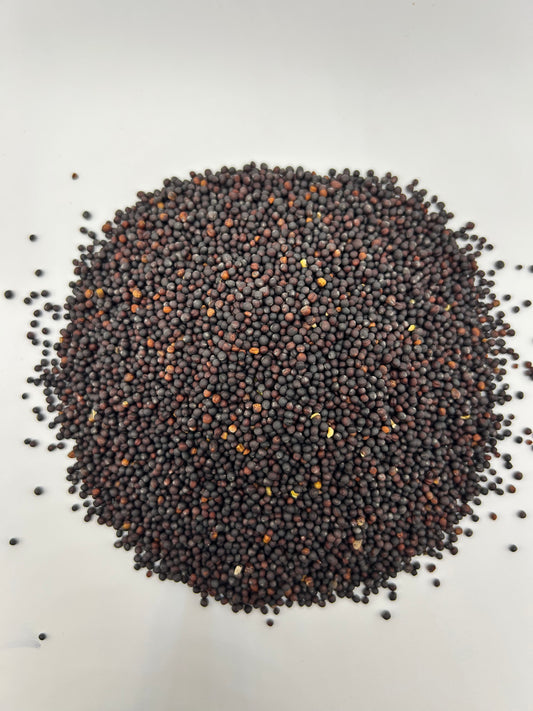 Winter Rapeseed How to Make a Successful Food Plot – Salt River Seed Company