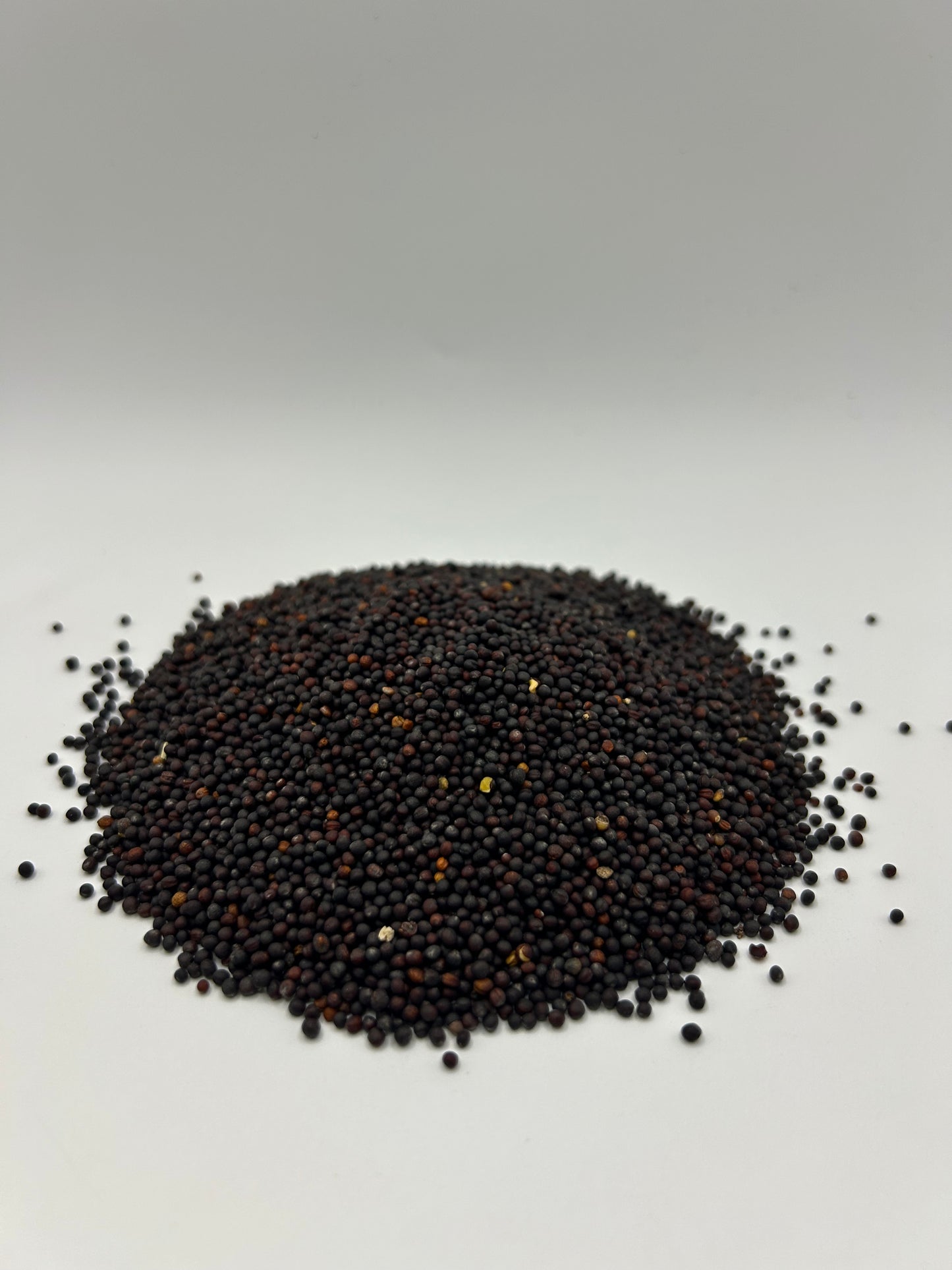 Trophy Winter Rape Seeds