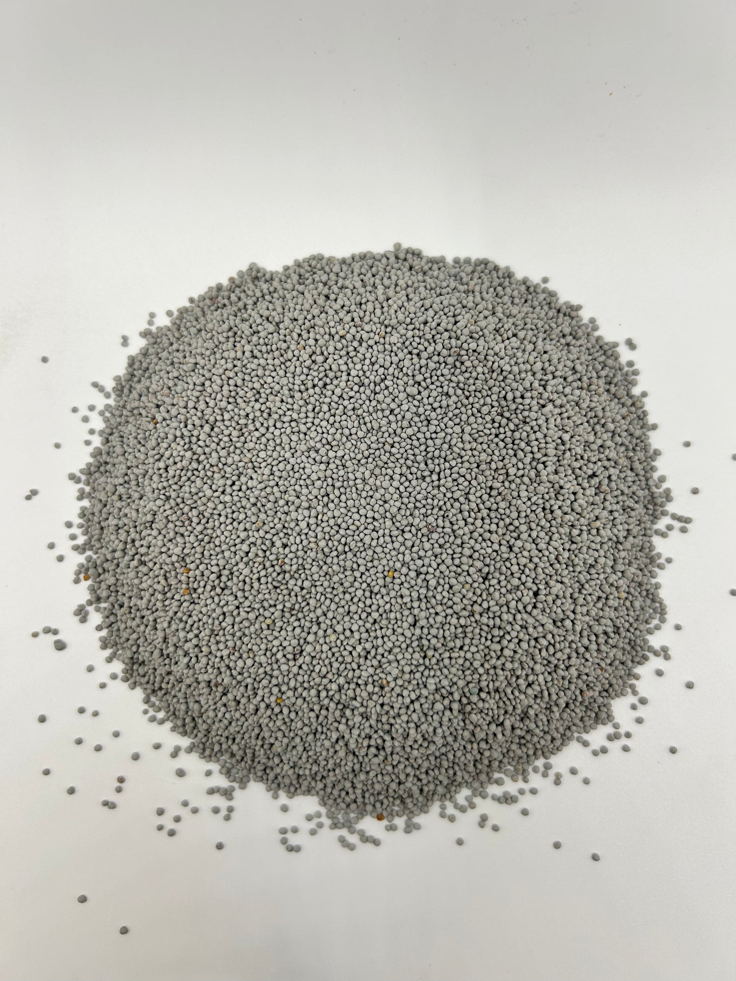 Ladino White Clover Seed (Coated with All-Vantage™ & Pre-Inoculated)