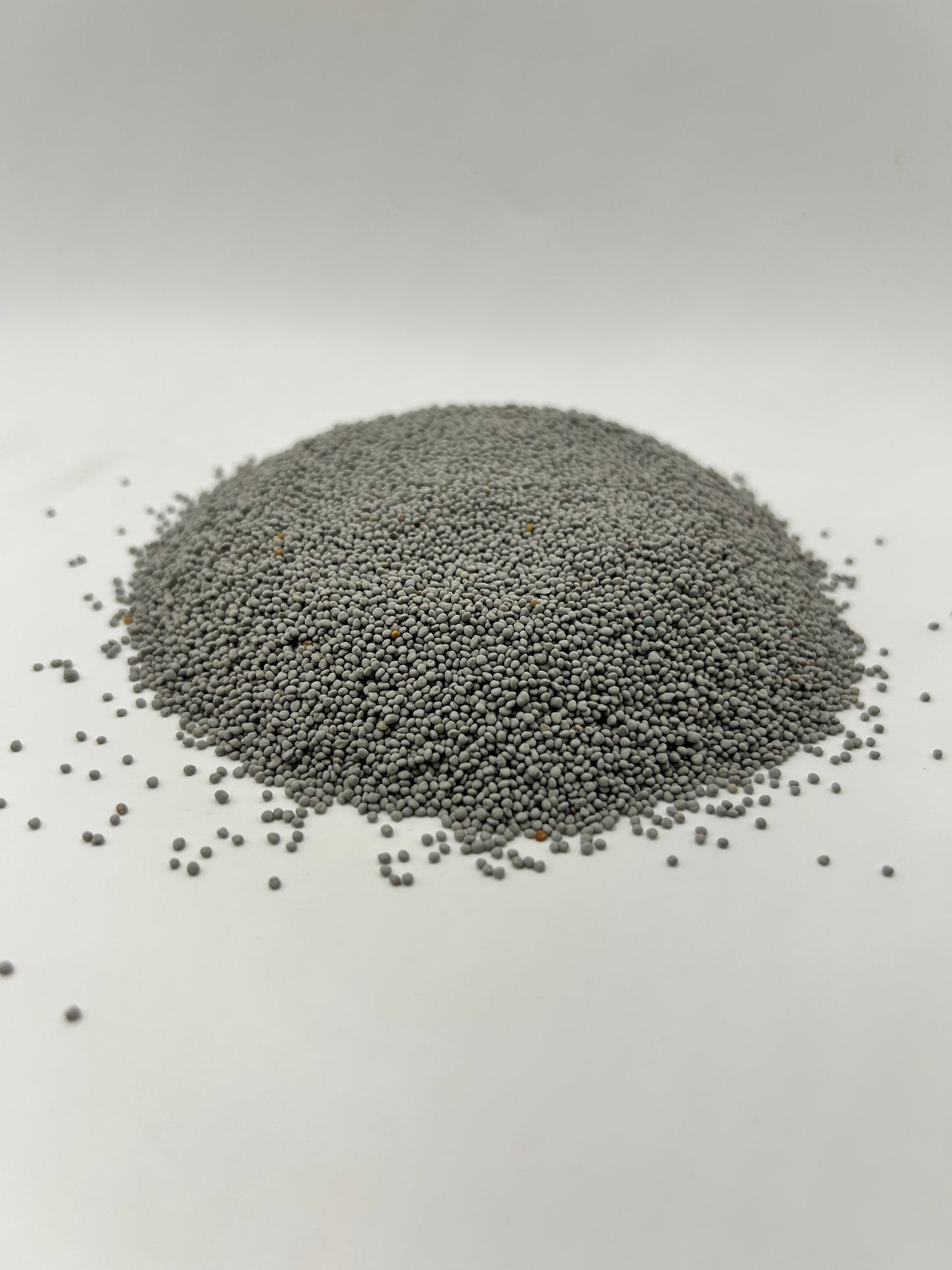 Ladino White Clover Seed (Coated with All-Vantage™ & Pre-Inoculated)