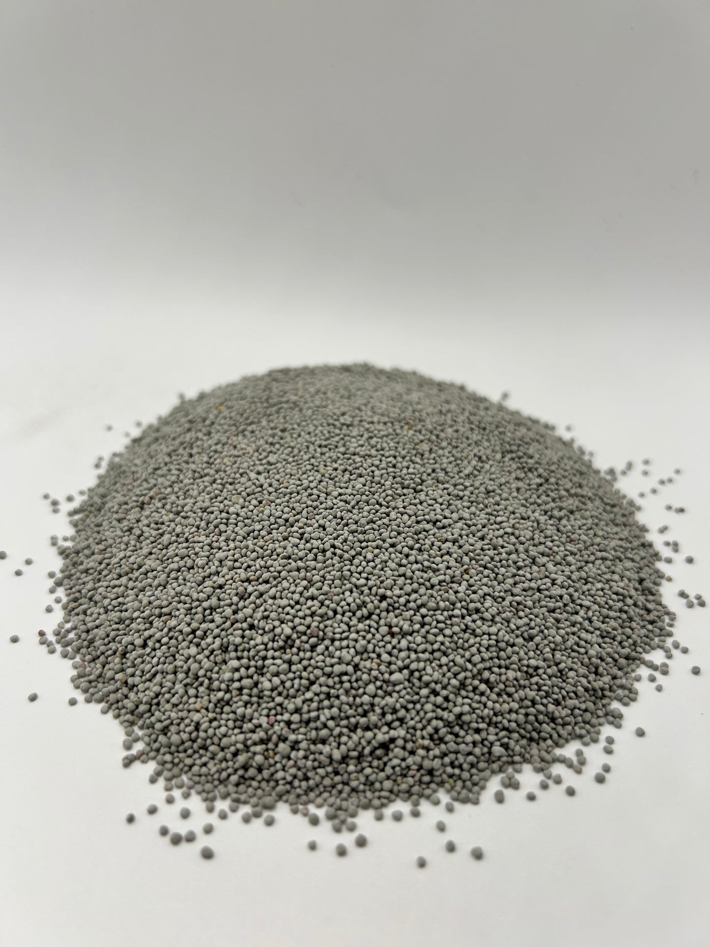 Dutch White Clover – Coated with All-Vantage