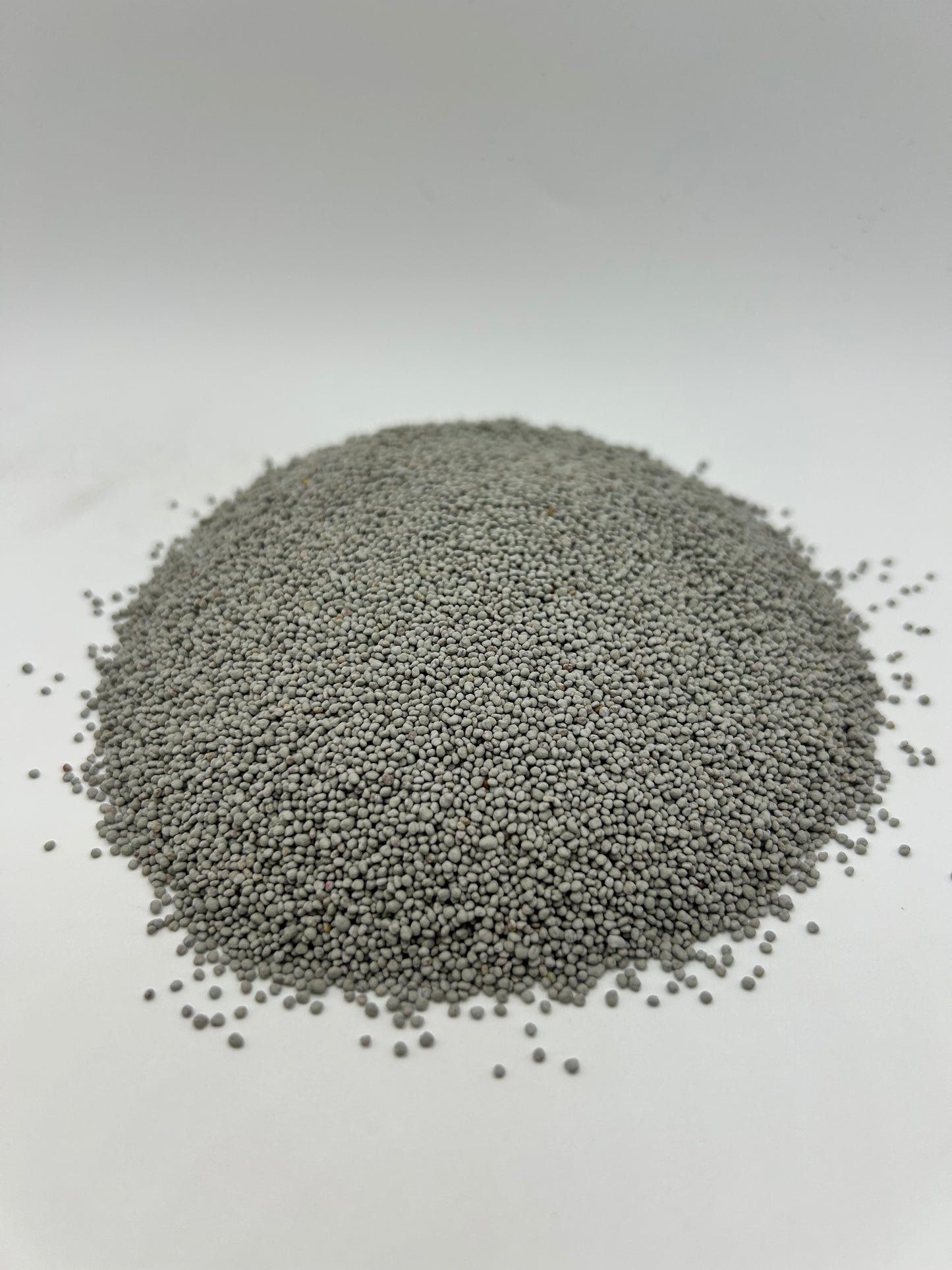 Dutch White Clover – Coated with All-Vantage