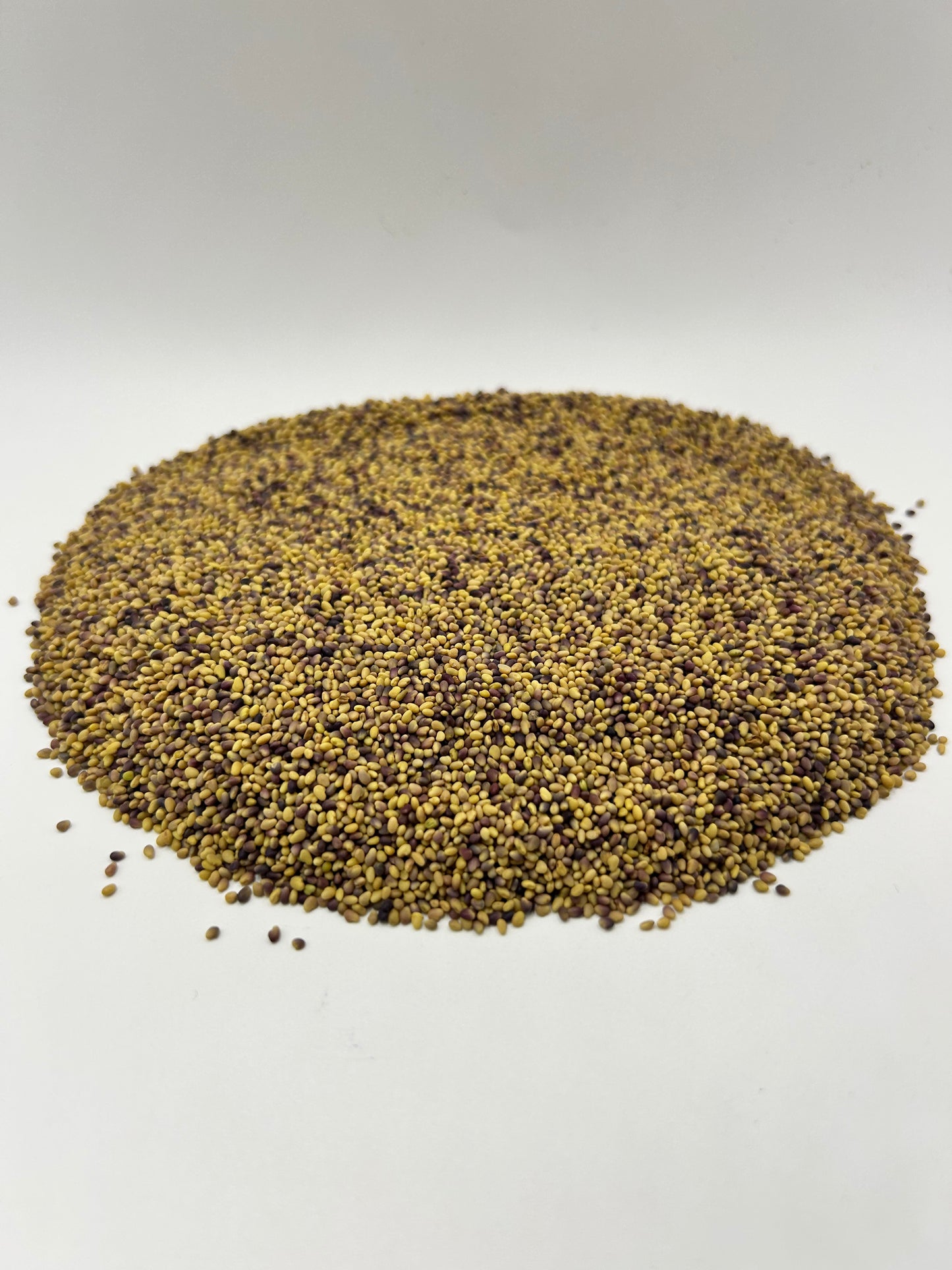 Medium Red Clover Seeds