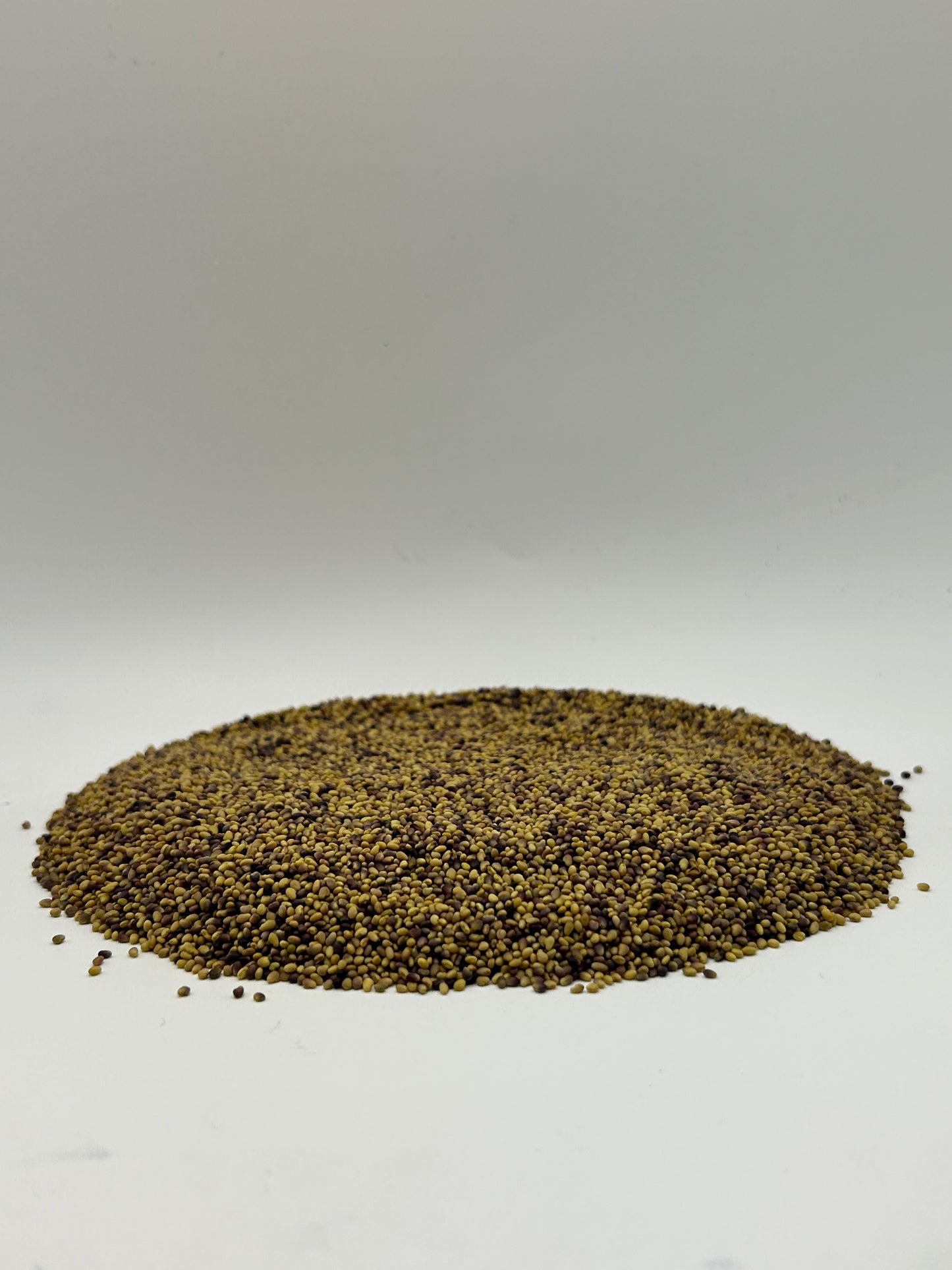 Medium Red Clover Seeds